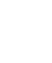 BLIKTAIL 22